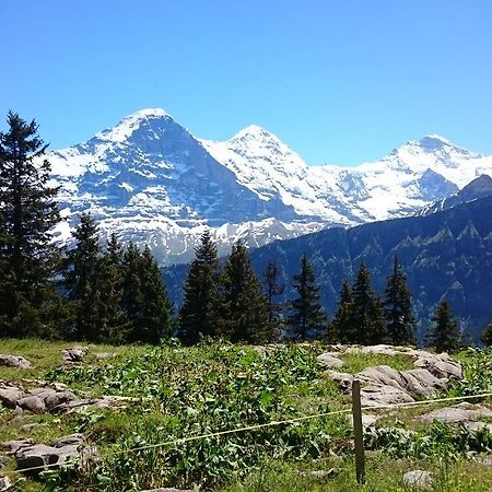 Berghaus Hintisberg Lütschenthal Bagian luar foto