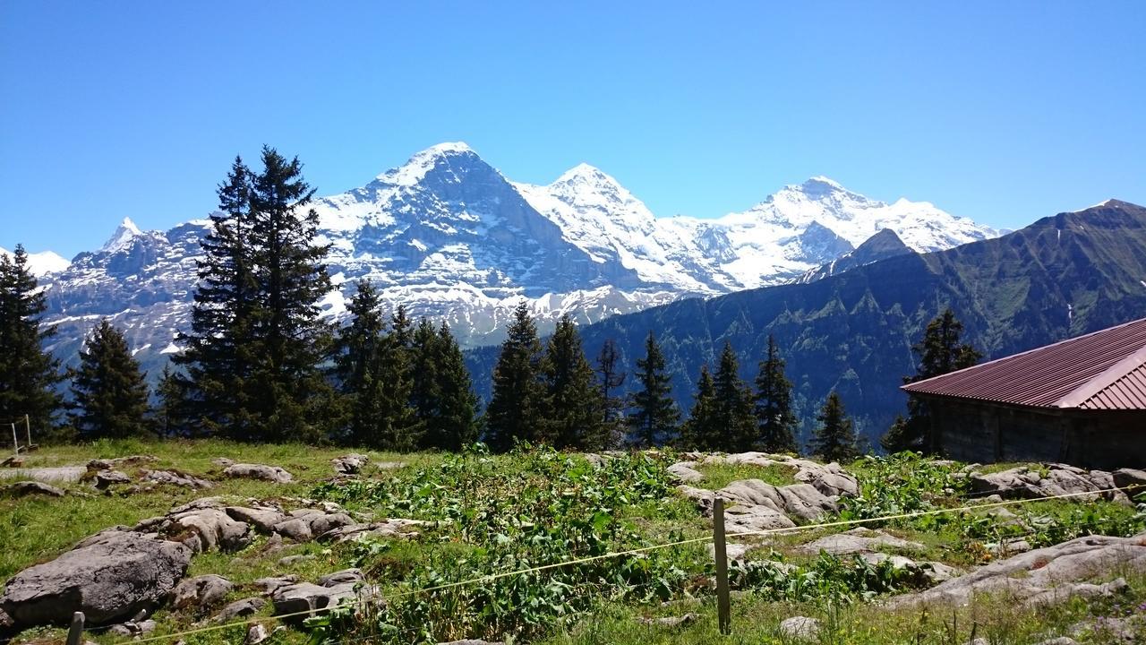 Berghaus Hintisberg Lütschenthal Bagian luar foto